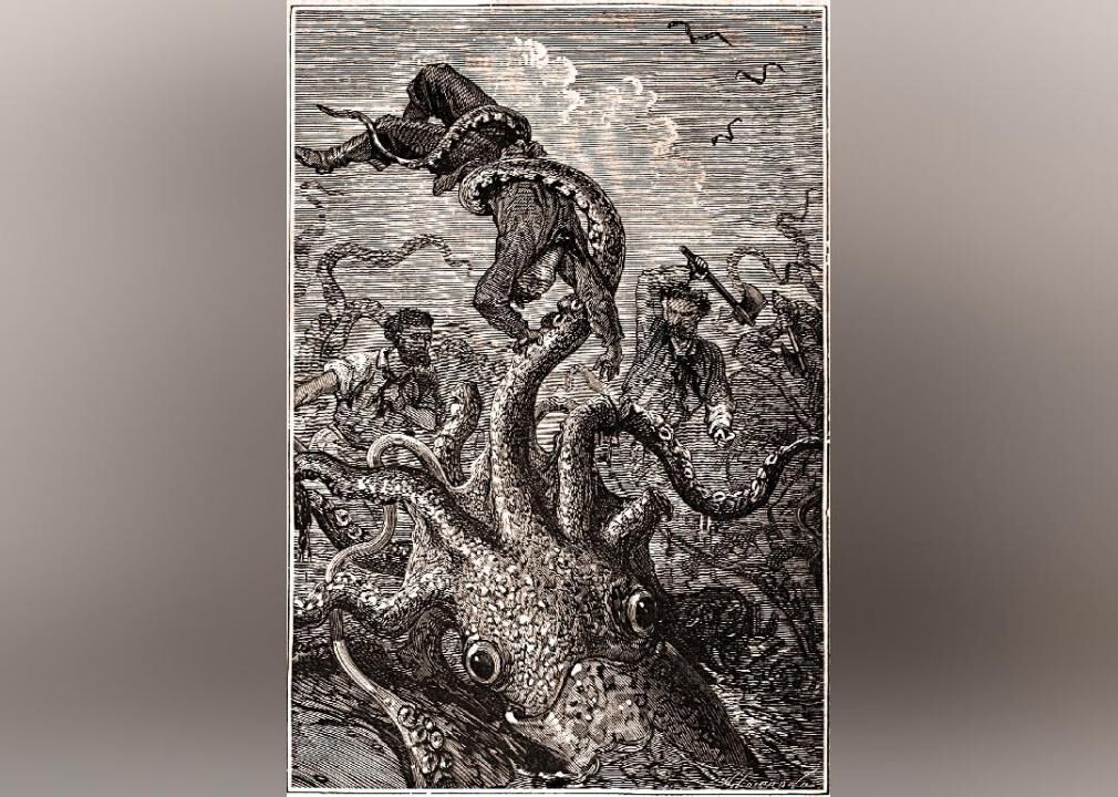 The Giant Squid